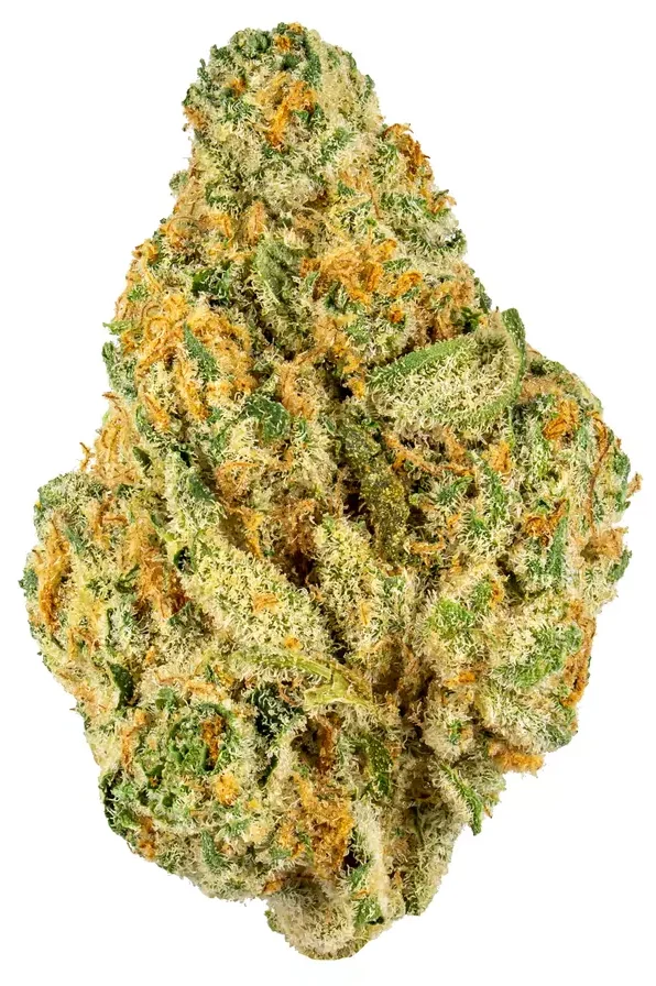 Funky-Charms-1
