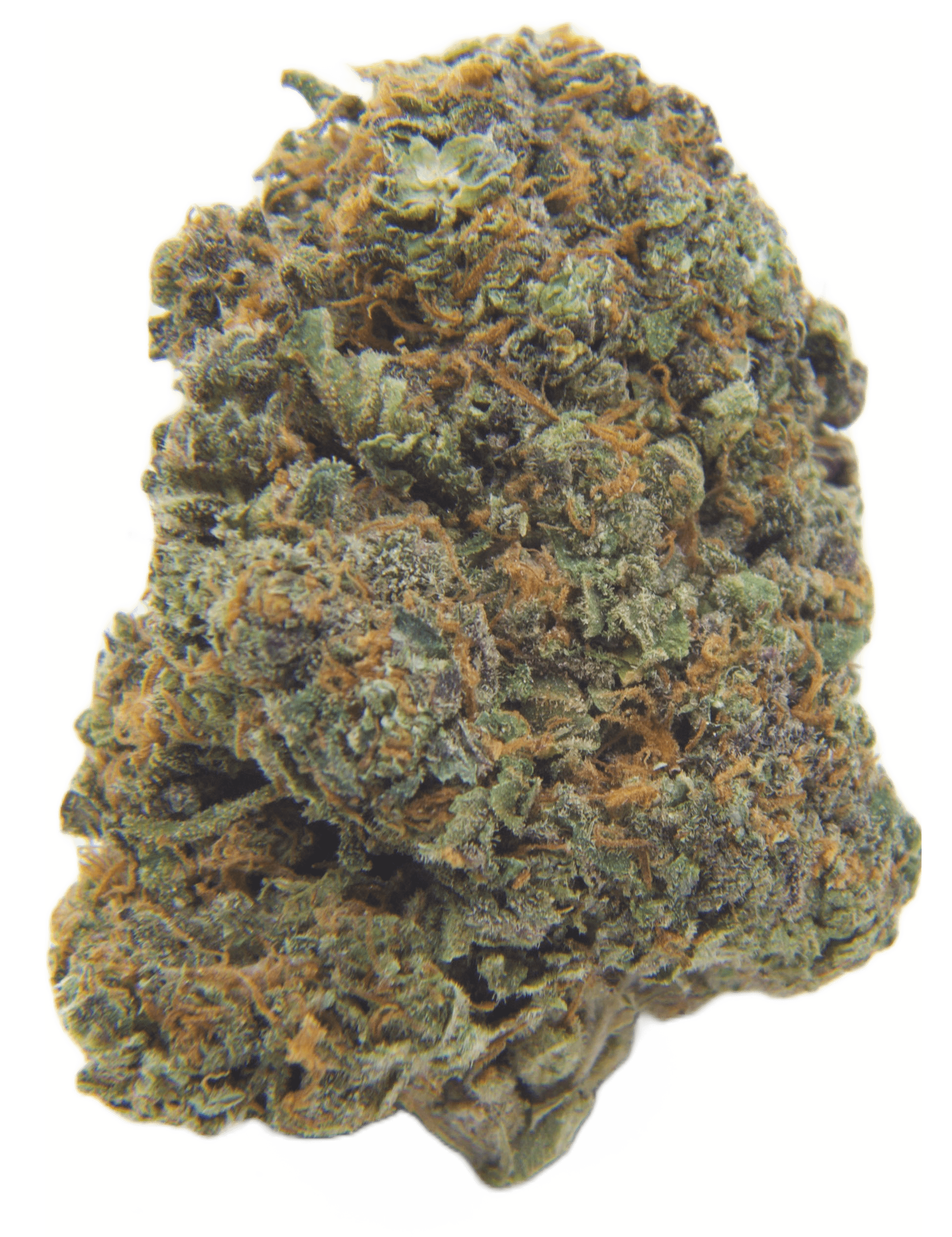 NYC DIESEL Transparent-min