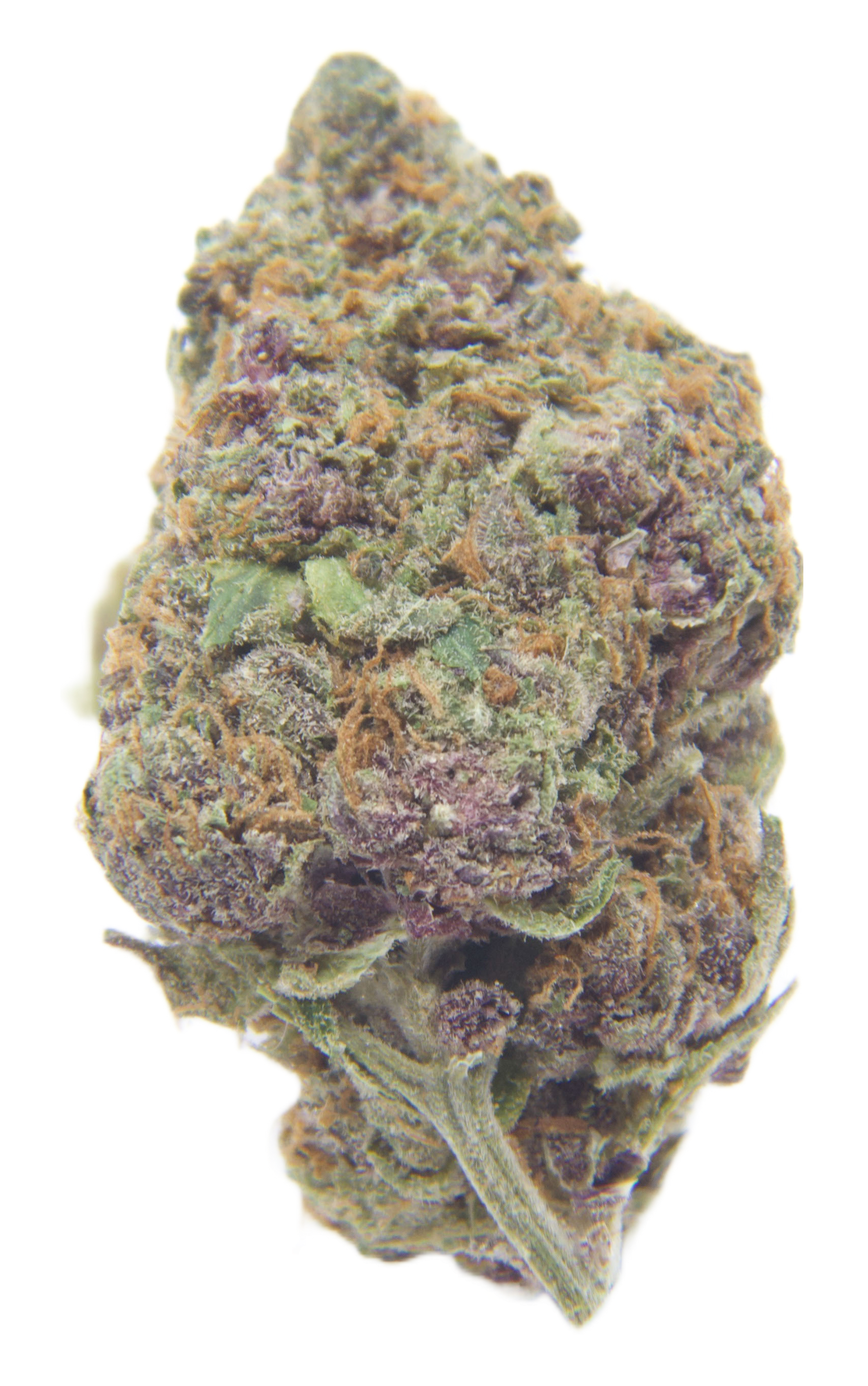 black cherry cola transparent