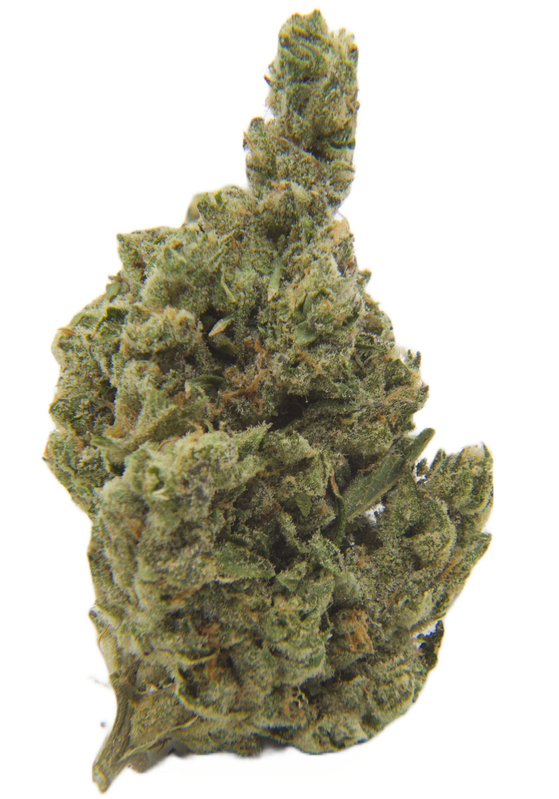 Lemon Skunk Transparent