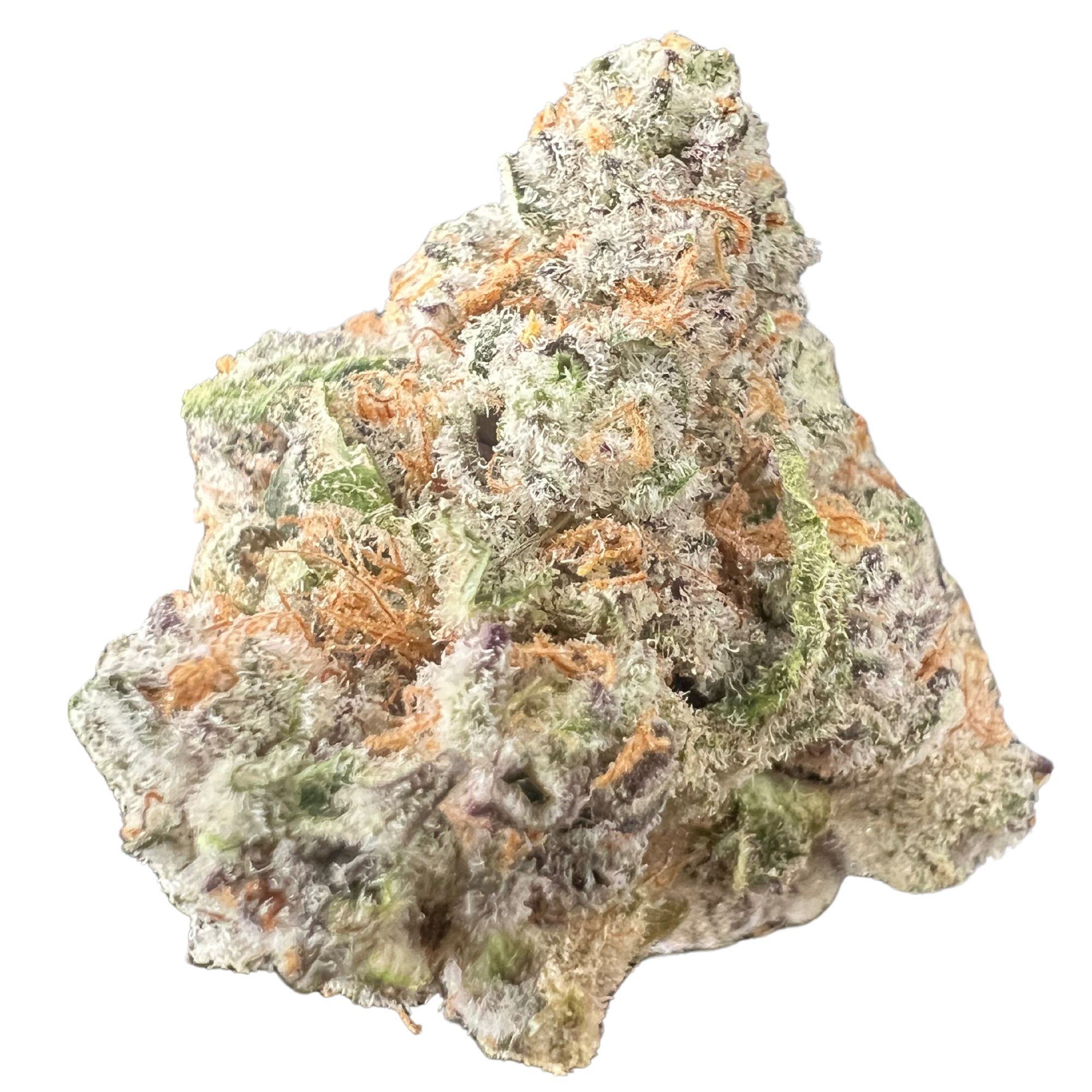 King Tut Strain: Uplifting Sativa-Dominant Hybrid with Fruity Flavours Close-up image of King Tut strain cannabis buds, showcasing the vibrant green and orange colours with a frosty, crystal-covered texture.