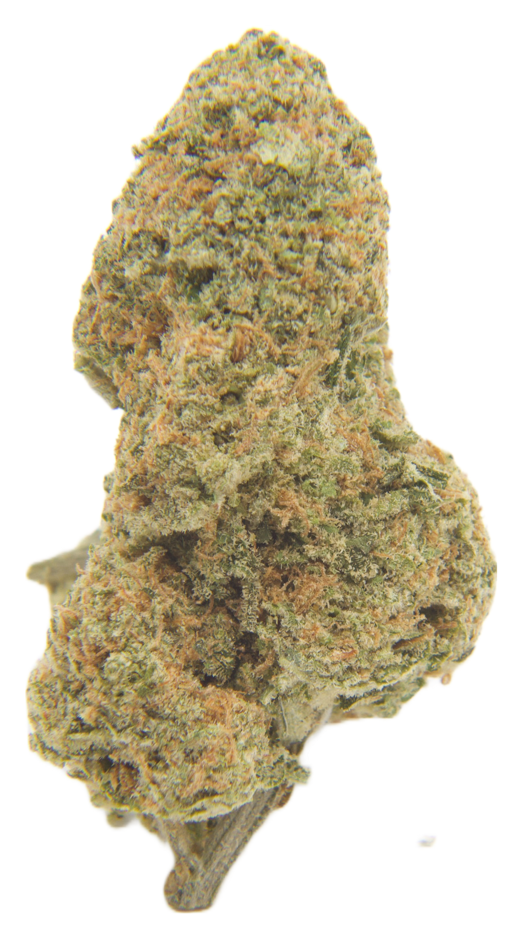 Thin Mint Girl Scout Cookies transparent