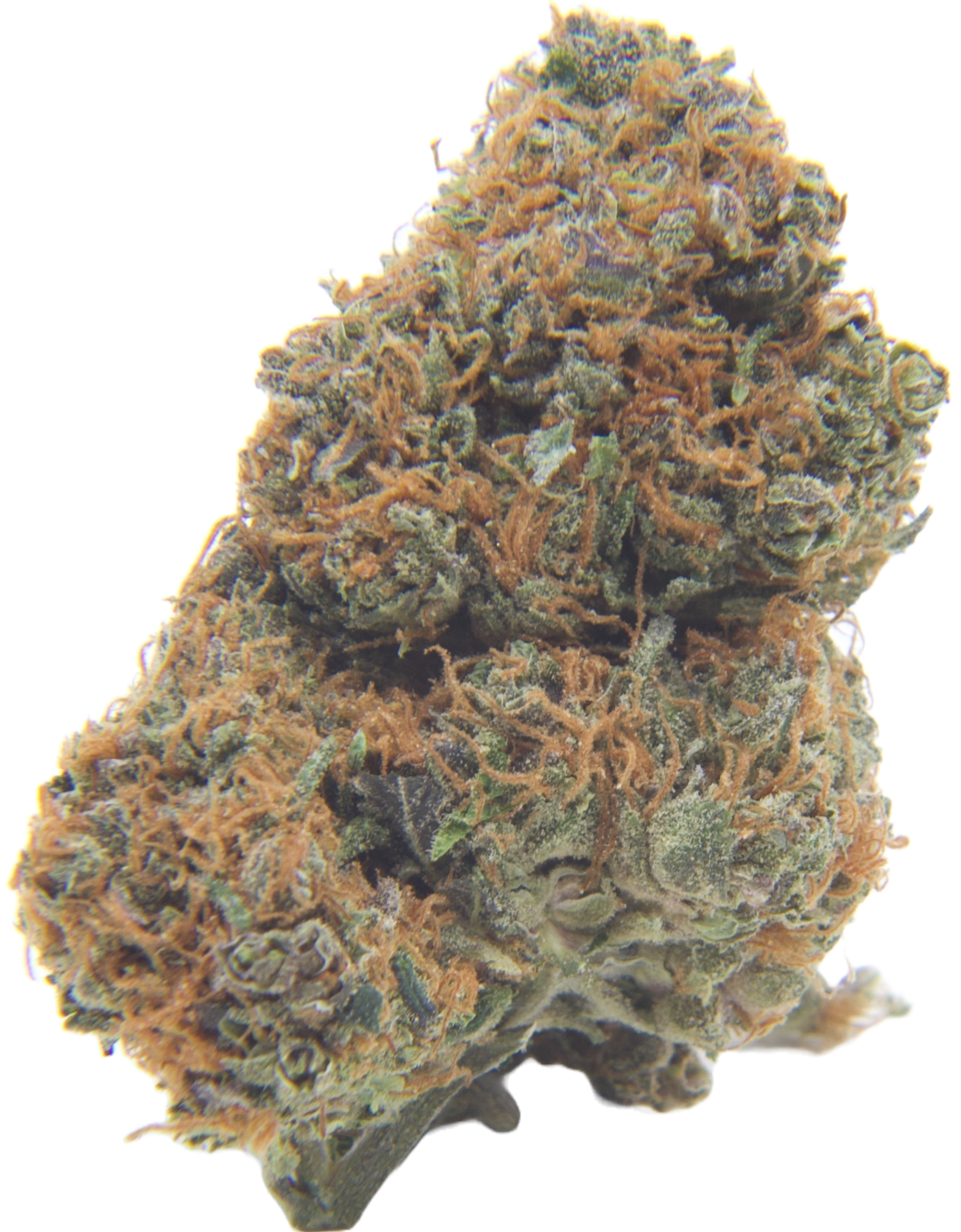 nevvilles haze2 transparent