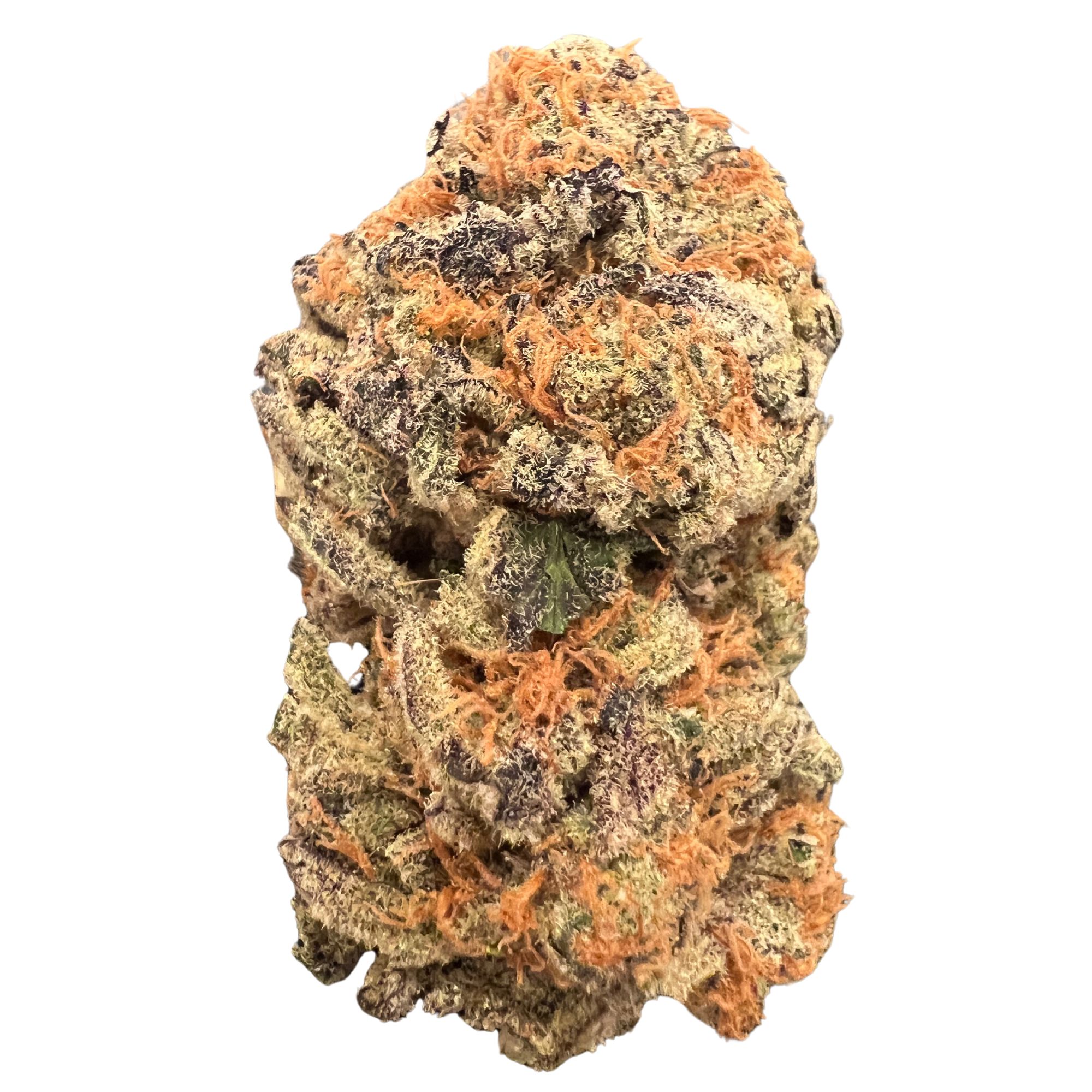 Purple OG Kush Bud Purple OG Kush cannabis bud