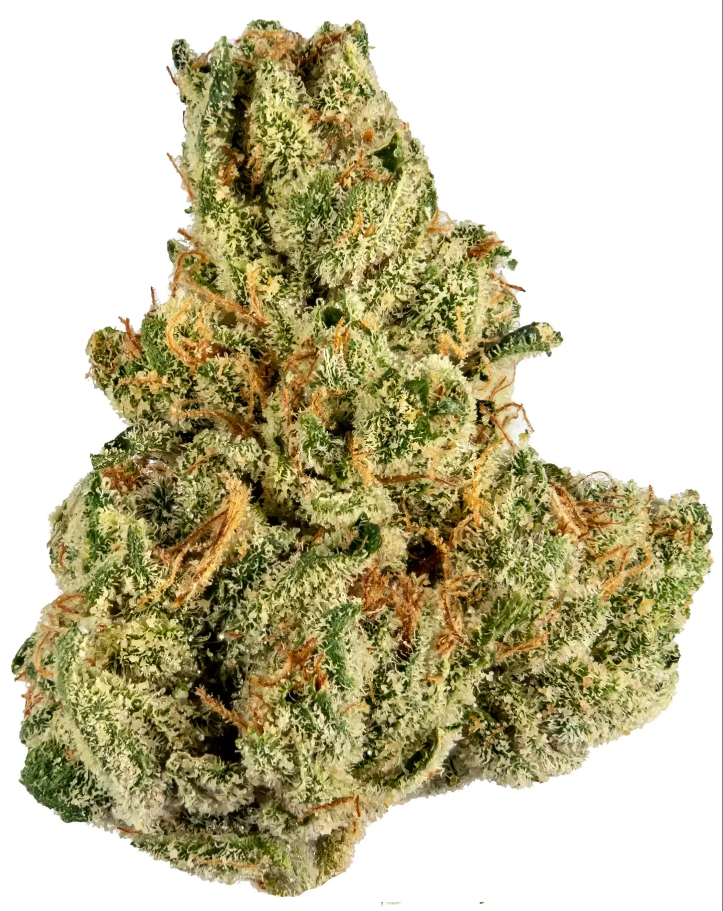 Tropicana
