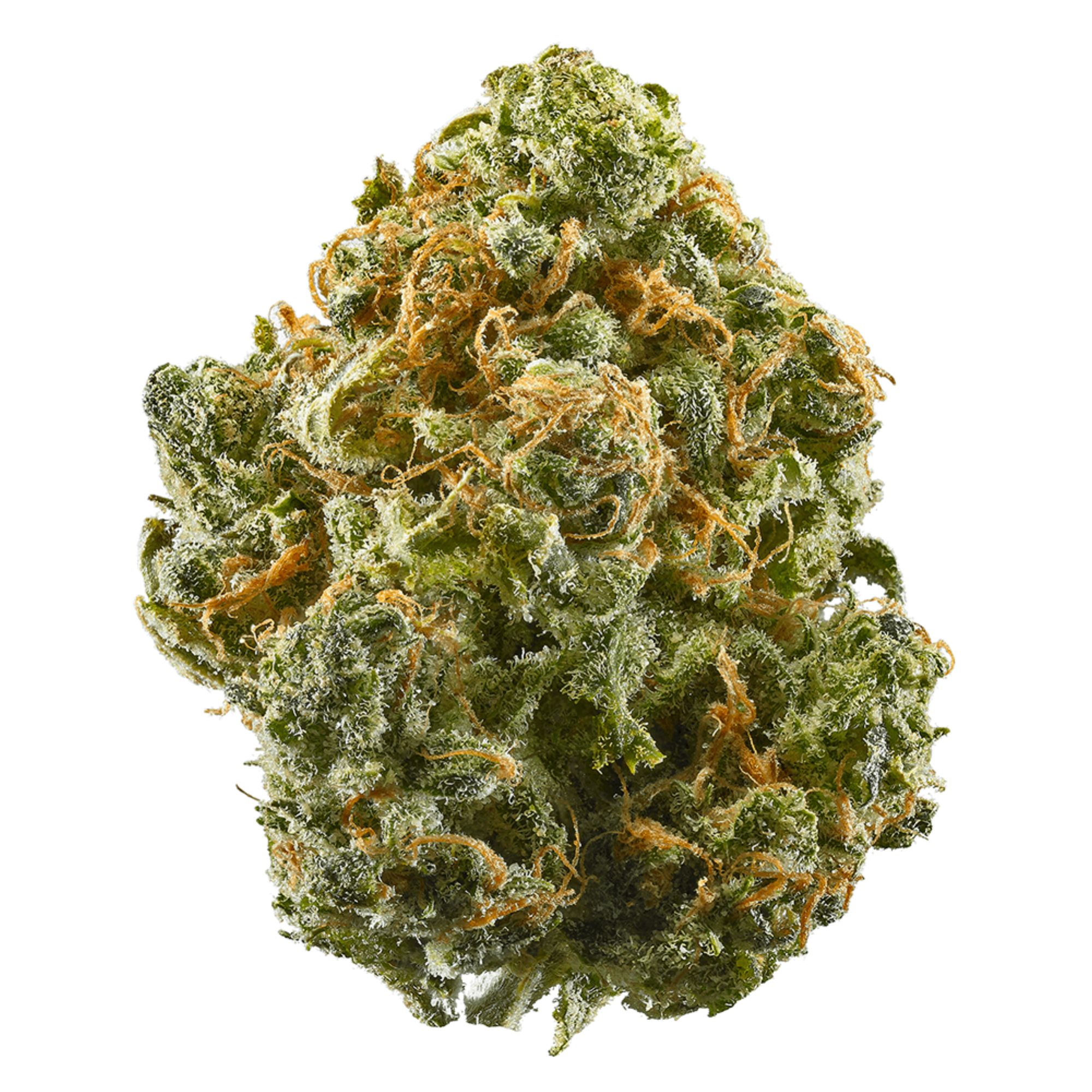 Master Bubba