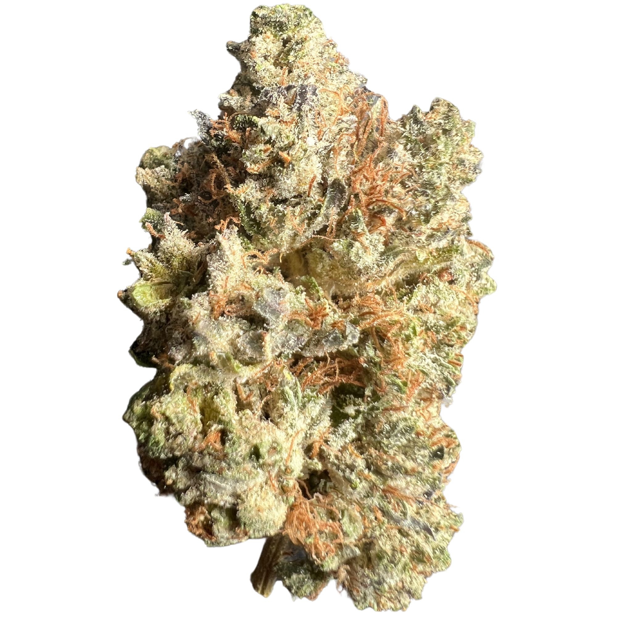 Pink Tomford Strain – Premium Cannabis for a Balanced High Pink Tomford cannabis strain, premium hybrid with pink and purple hues from Canada
