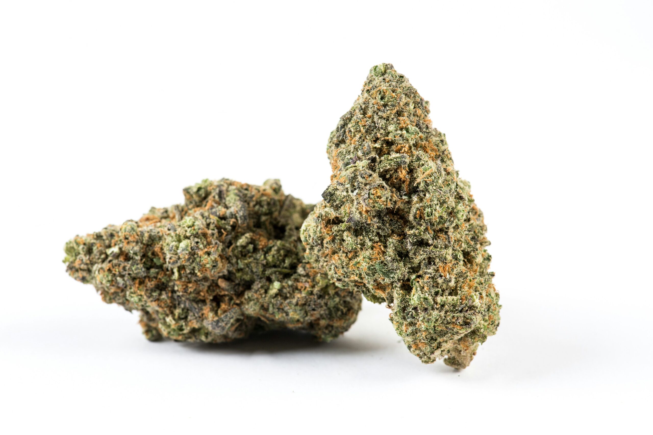 Livraison de Cannabis à Gatineau - Fleurs de haute qualité