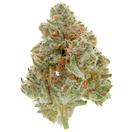 Buy Sativa Weed Online - Canadian Weed