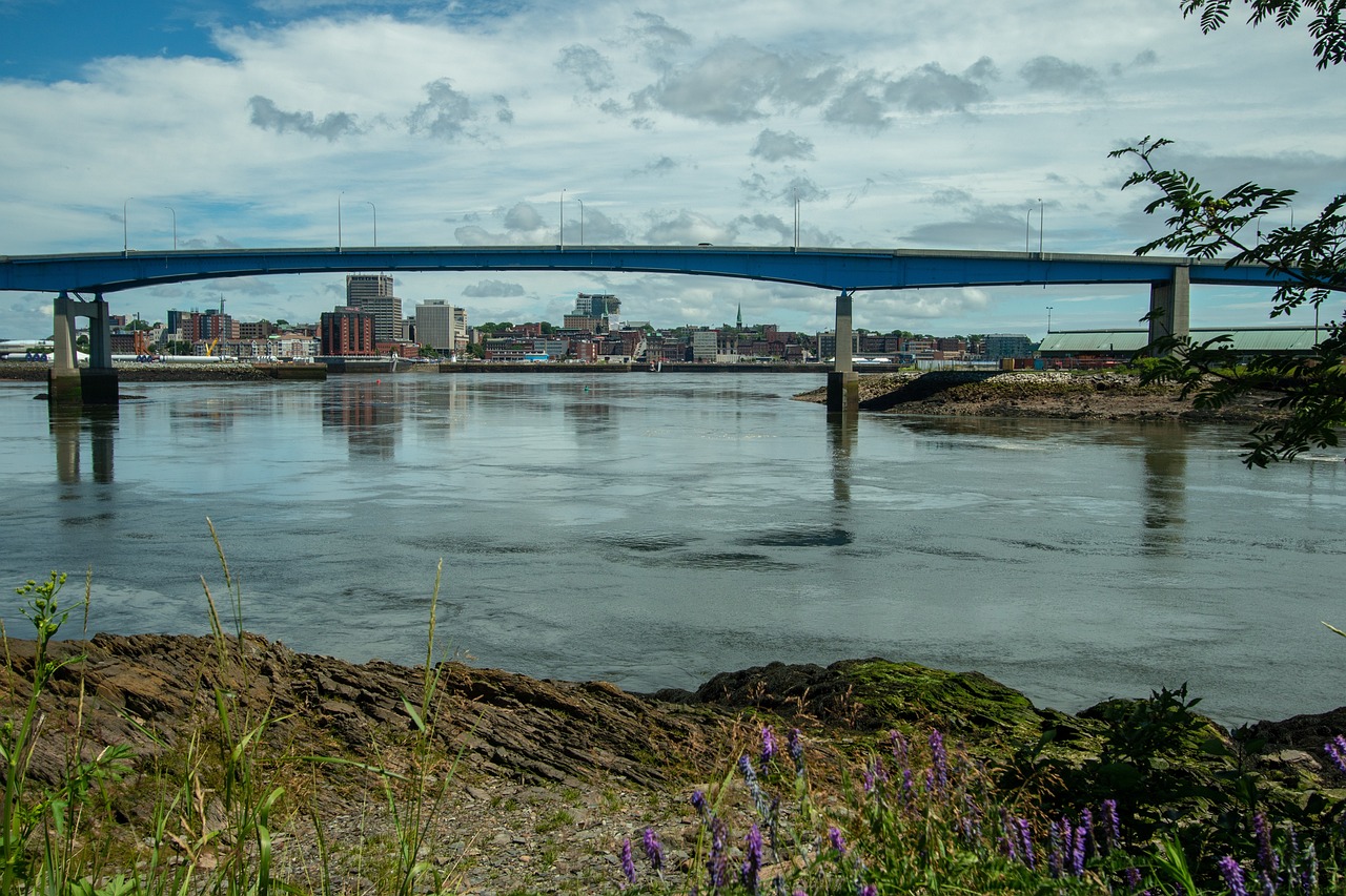 View of Saint John, New Brunswick, from across the water with a bridge in the foreground and the city skyline in the background, highlighting the area served by A1 Terps' weed delivery services.