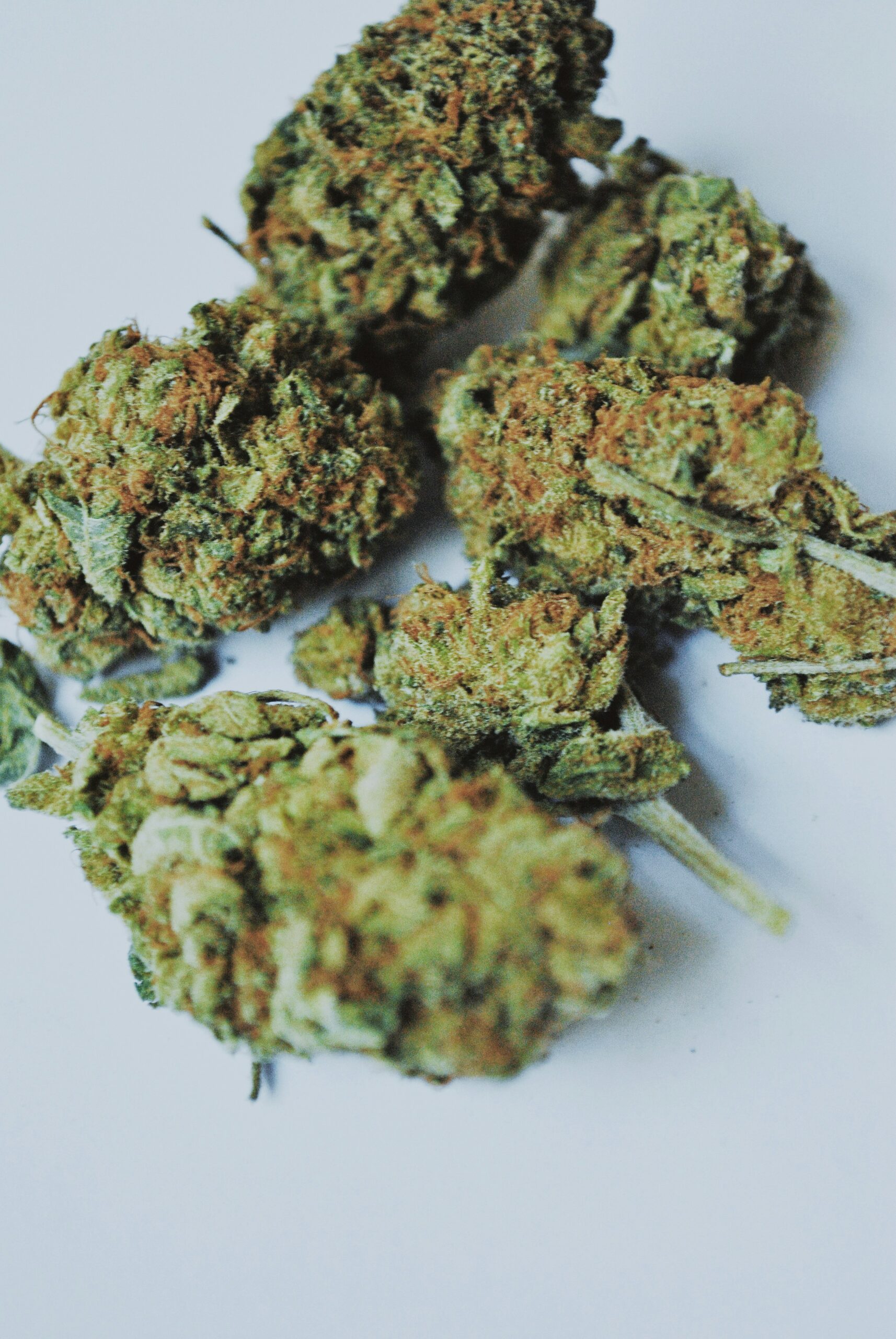 Close-up of premium cannabis buds.