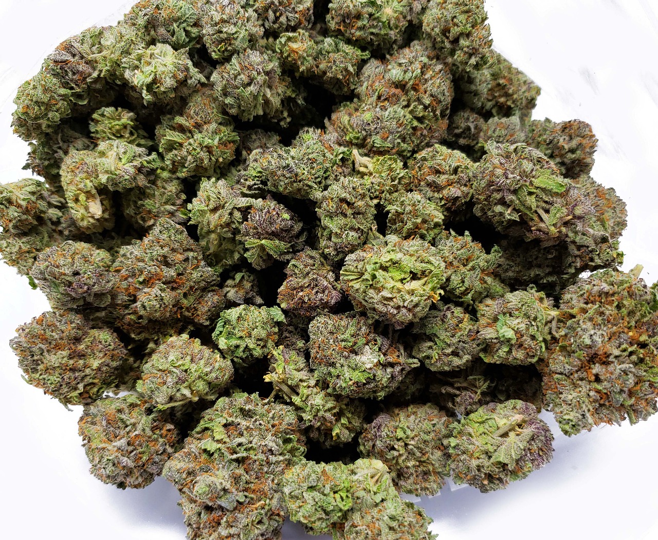 Close-up of premium cannabis buds with vibrant green and orange hairs, representing A1 Terps' high-quality weed delivery service.