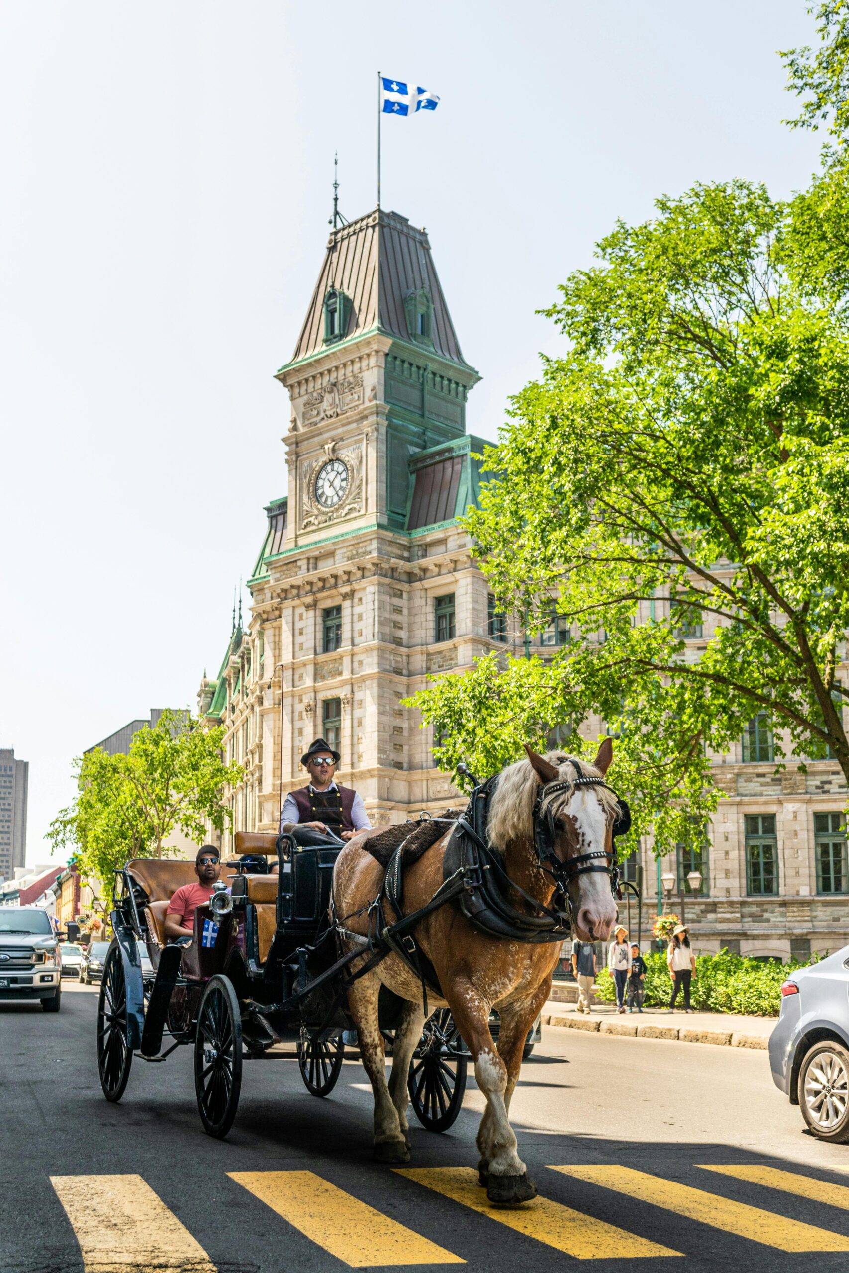 Calèche à Québec City, parfait pour la livraison de cannabis