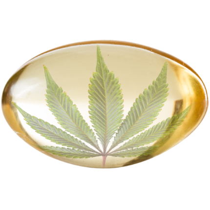 CBD Capsules - Buy CBD Pills for Pain