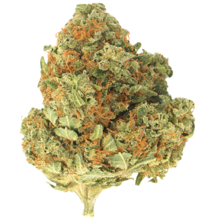 Value Buds Icon - Affordable Low Priced Buds