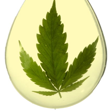 Buy CBD Online - Cannabidiol Products Canada