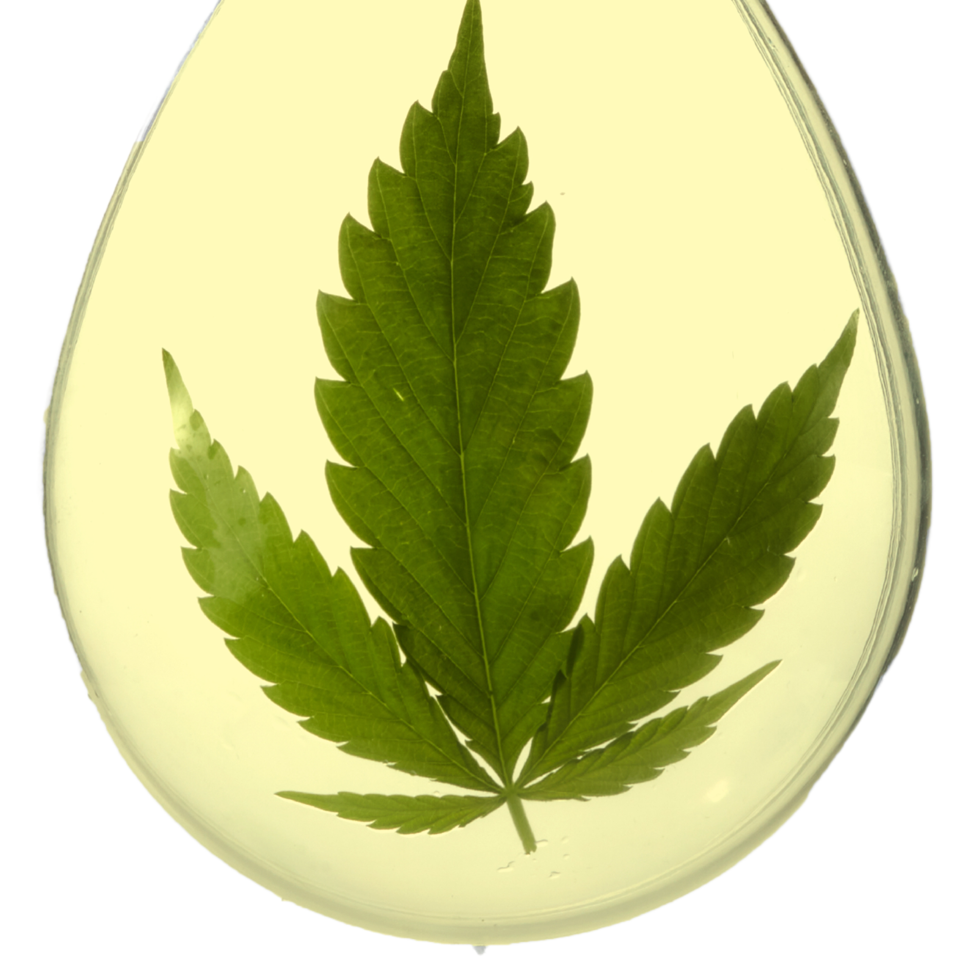 Buy CBD Online - Cannabidiol Products Canada