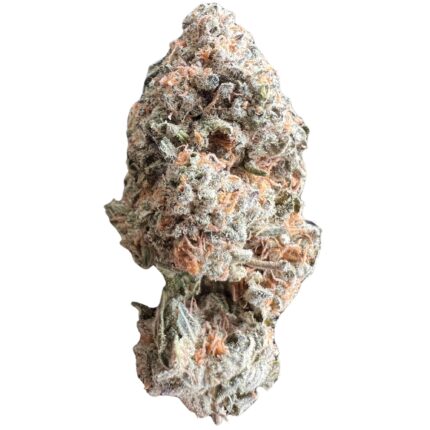 Close-up of Northern Lights strain buds with crystal trichomes