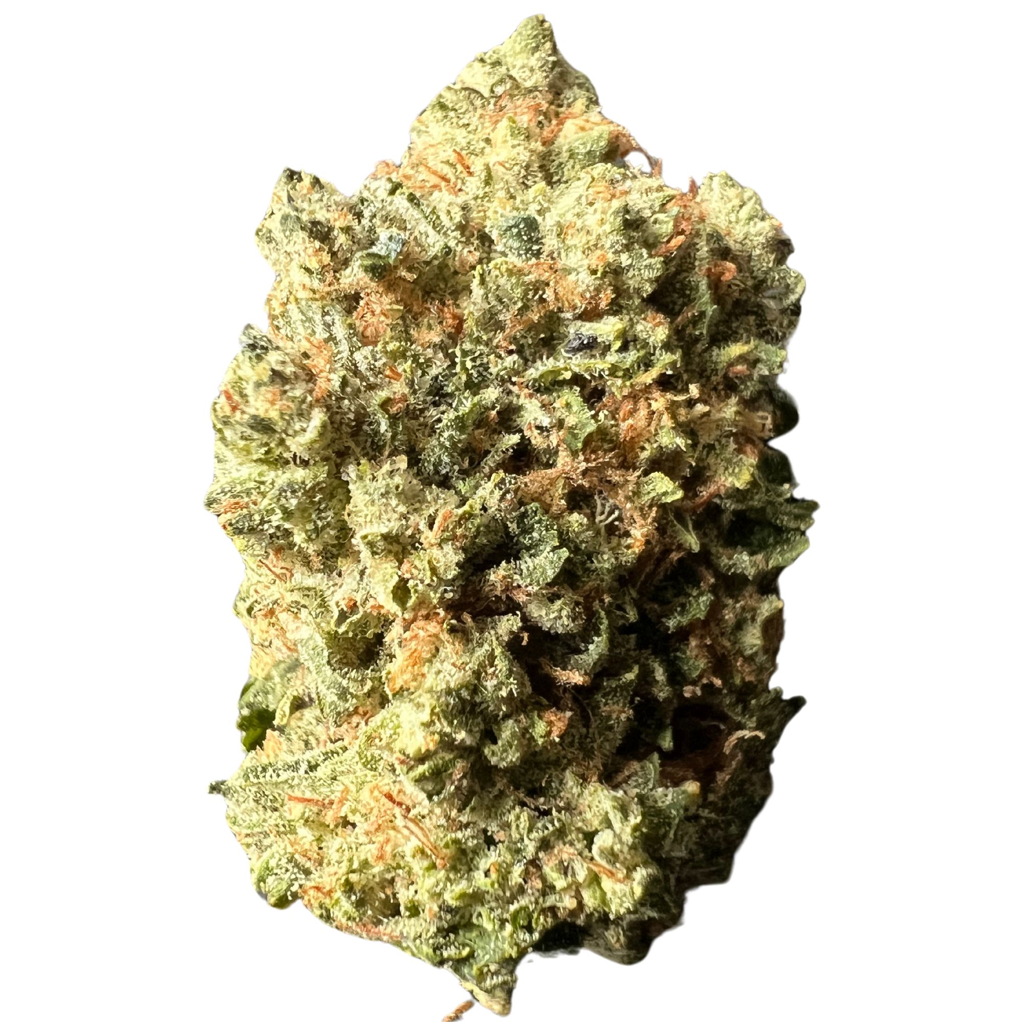 Pink Rockstar Strain - Potent Indica Hybrid with Frosty Pink Crystals Close-up of Pink Rockstar strain buds showcasing dense mint-green nugs with pink hues, bright orange hairs, and frosty pink-tinted crystals.