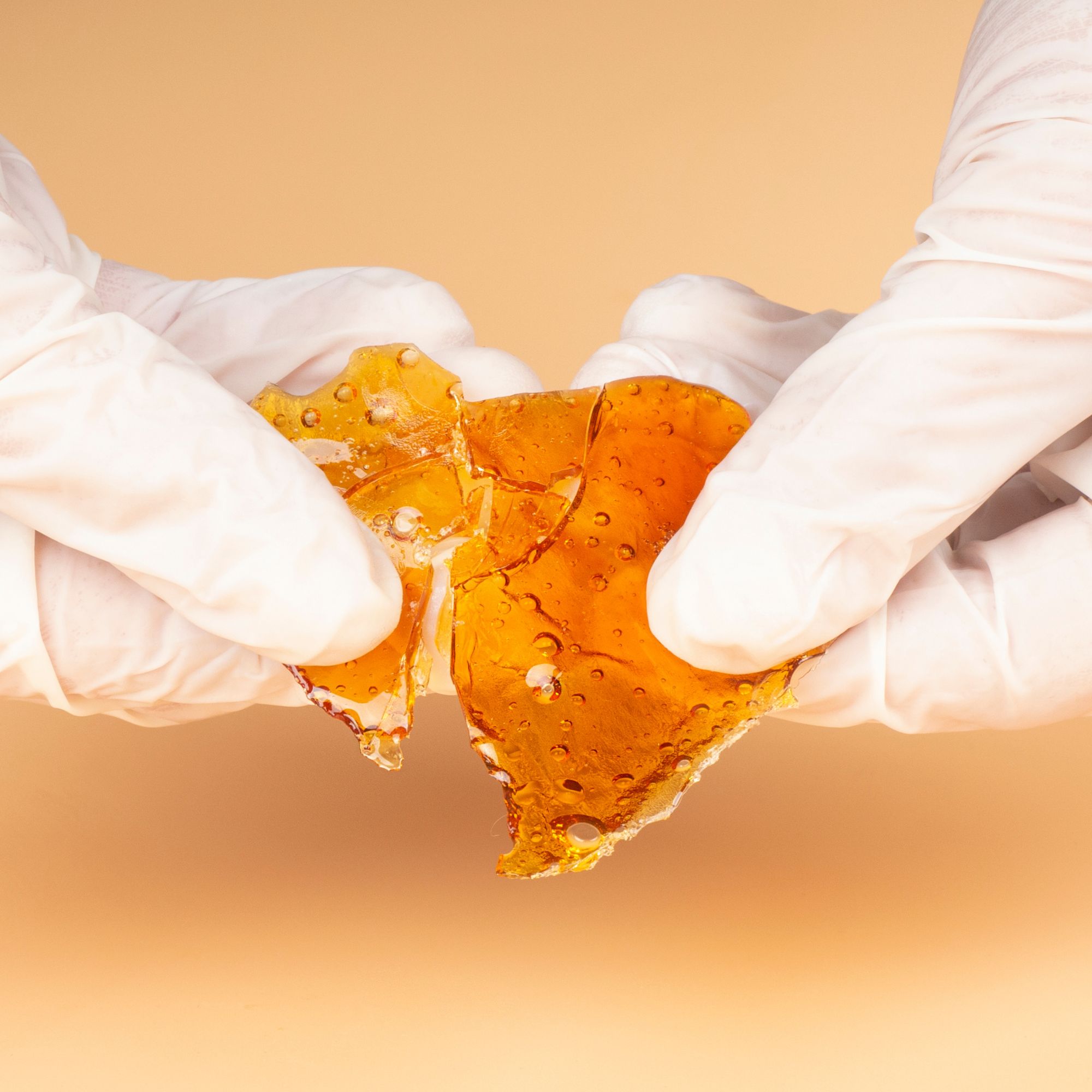 Gloved hands breaking apart a piece of cannabis shatter.
