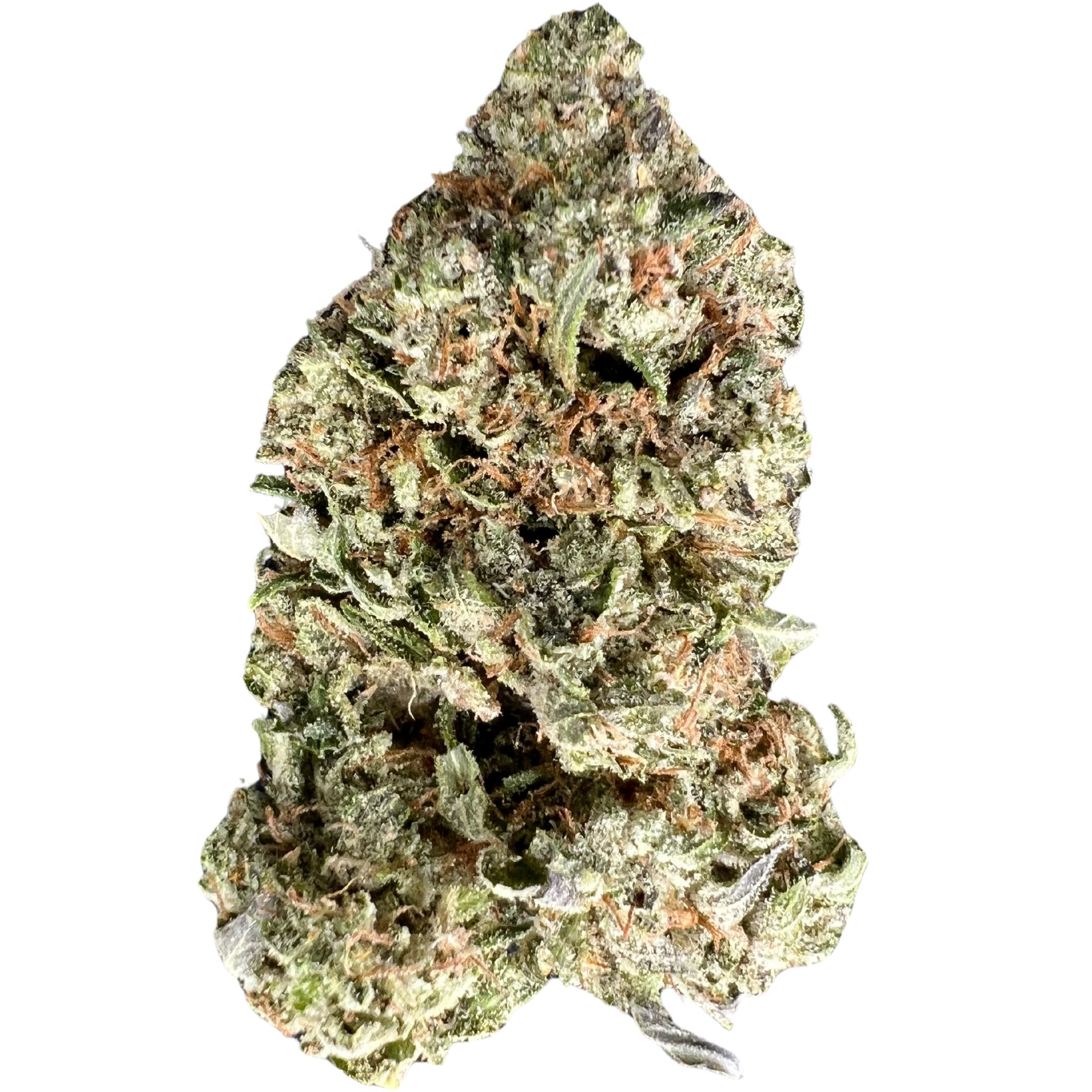 El Chapo Strain – Potent Hybrid with Exceptional Flavour and Therapeutic Benefits Close-up of El Chapo strain buds showcasing dense, frosty green buds with vibrant orange hairs and thick trichome coverage.
