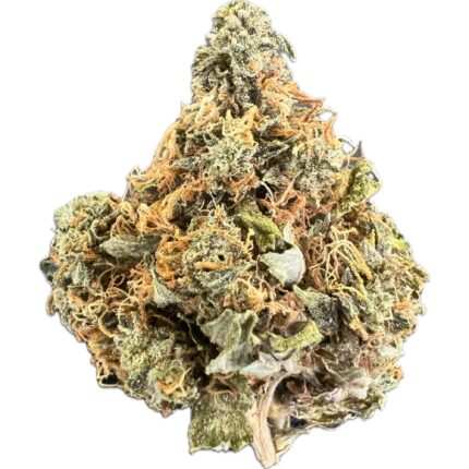 Close-up of Juicy Fruit cannabis strain showcasing vibrant green buds with orange hairs and a frosty layer of trichomes.
