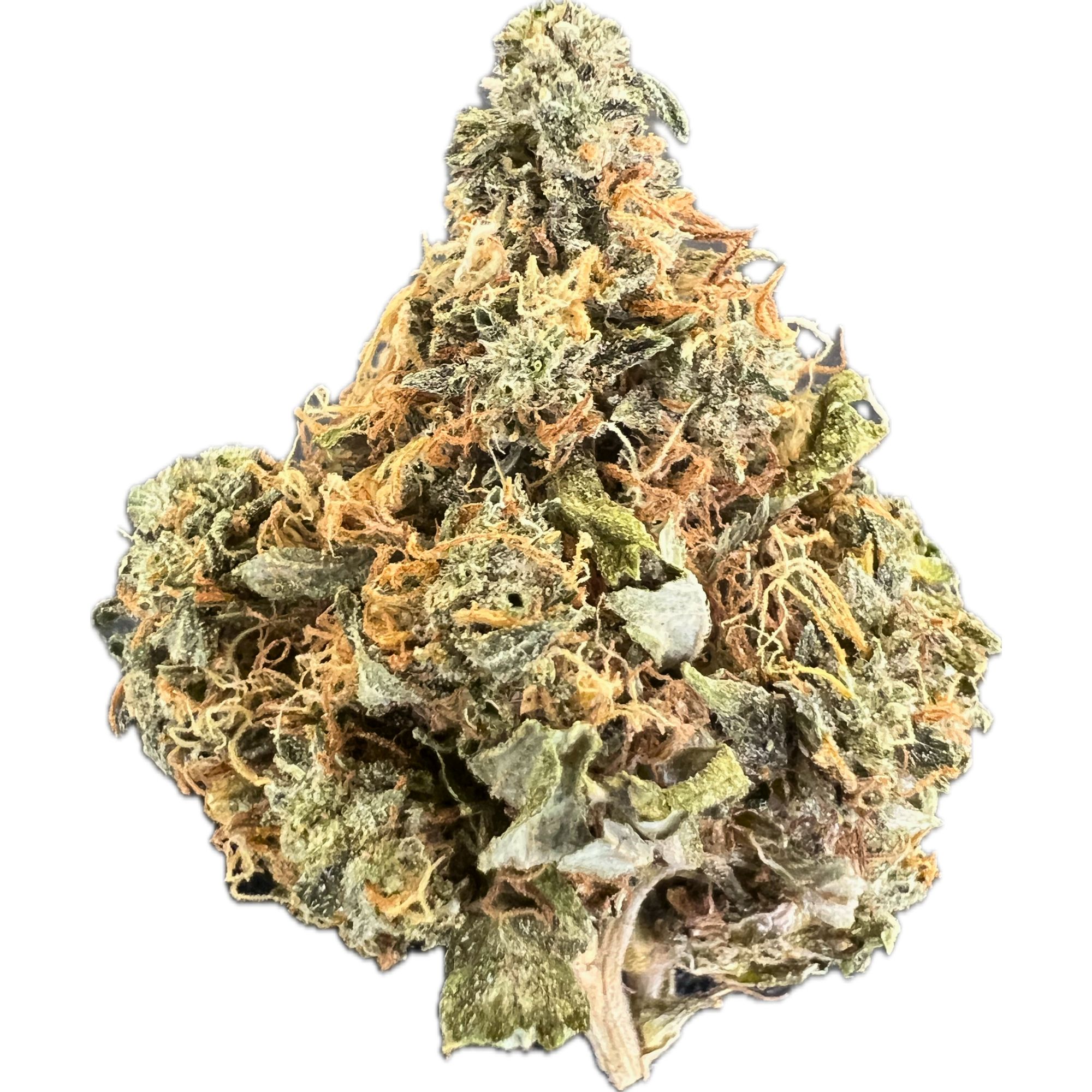 Juicy Fruit Strain – A Sweet and Fruity Hybrid Delight Close-up of Juicy Fruit cannabis strain showcasing vibrant green buds with orange hairs and a frosty layer of trichomes.
