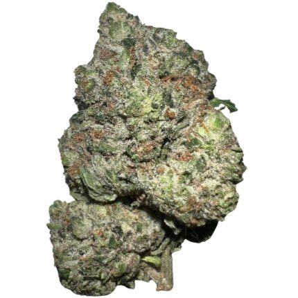 Close-up of Pine Tar Kush strain buds featuring neon green colours, orange hairs, and frosty golden trichomes.